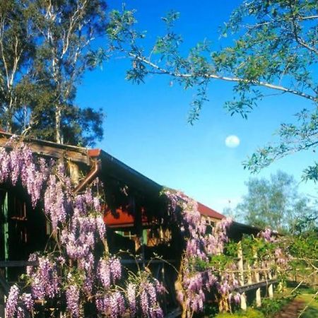 Cedar Creek Cottages Millfield Exterior foto